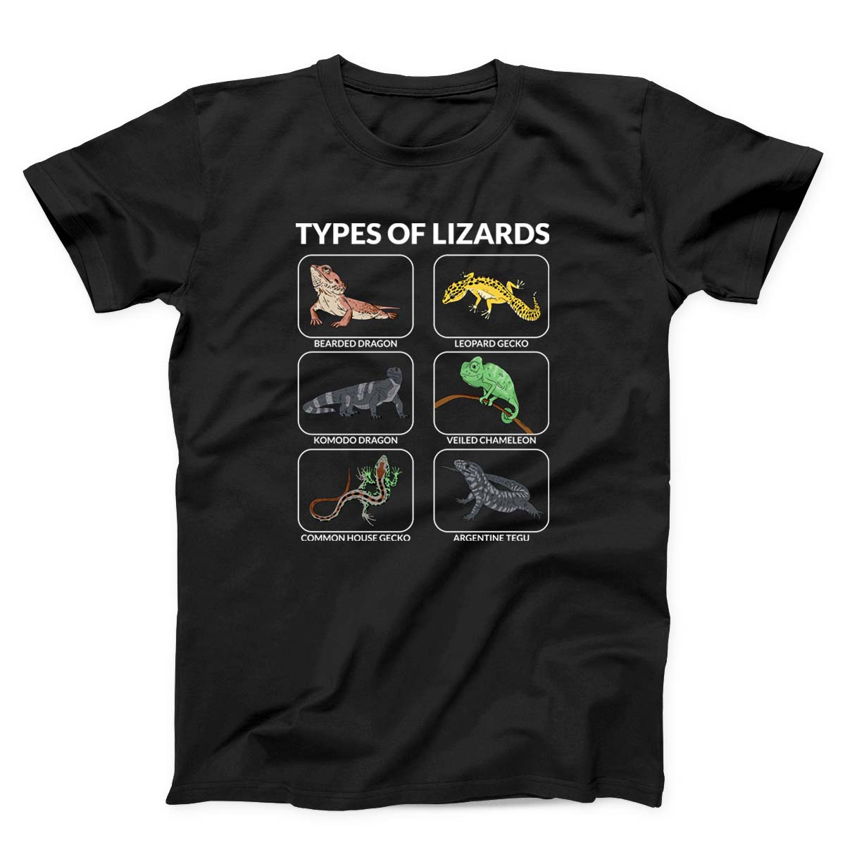 Types Of Lizards Unisex T-Shirt