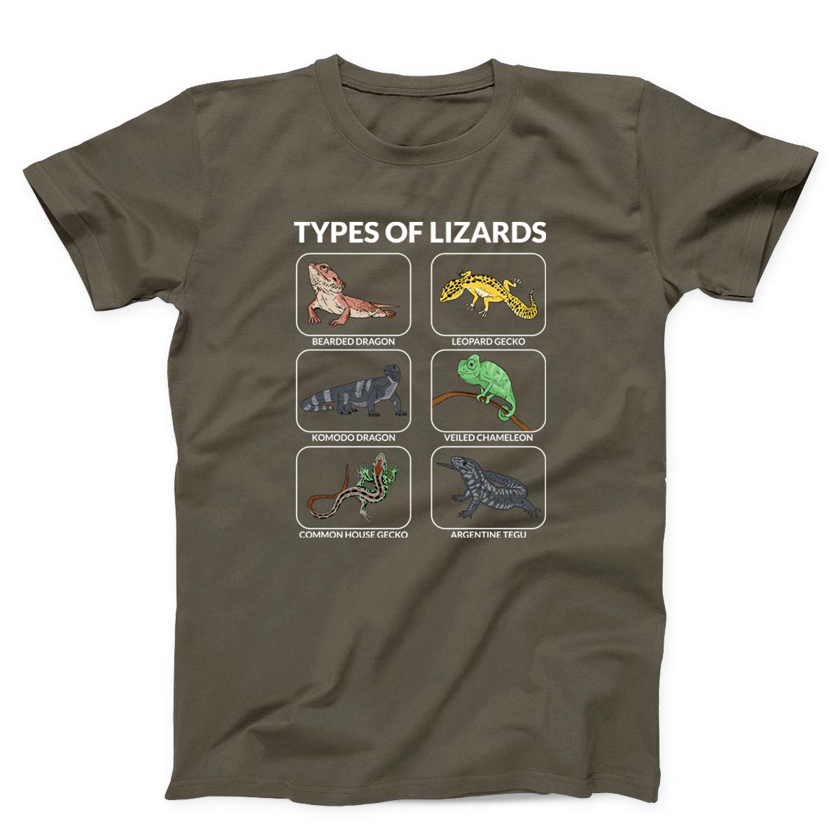 Types Of Lizards Unisex T-Shirt