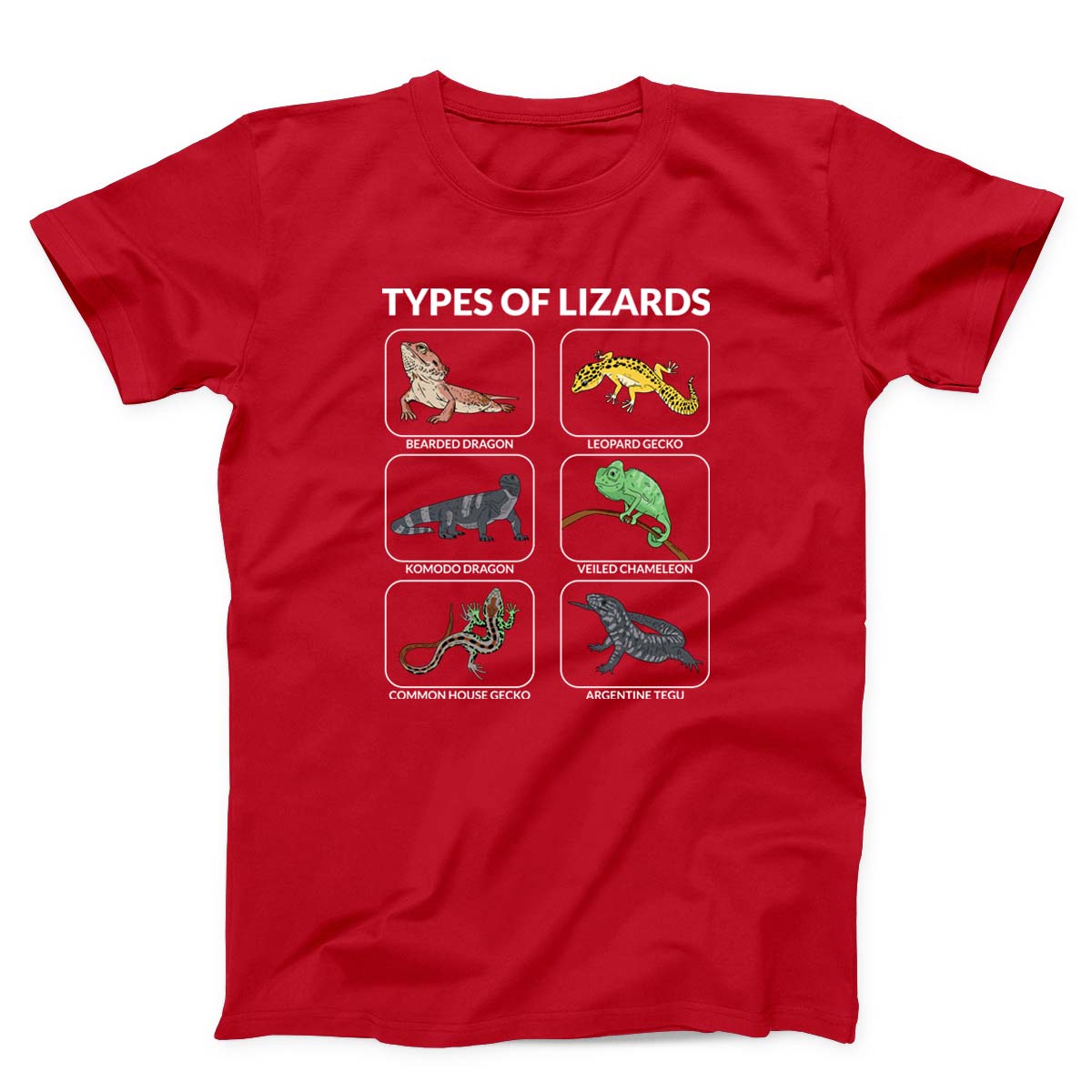 Types Of Lizards Unisex T-Shirt