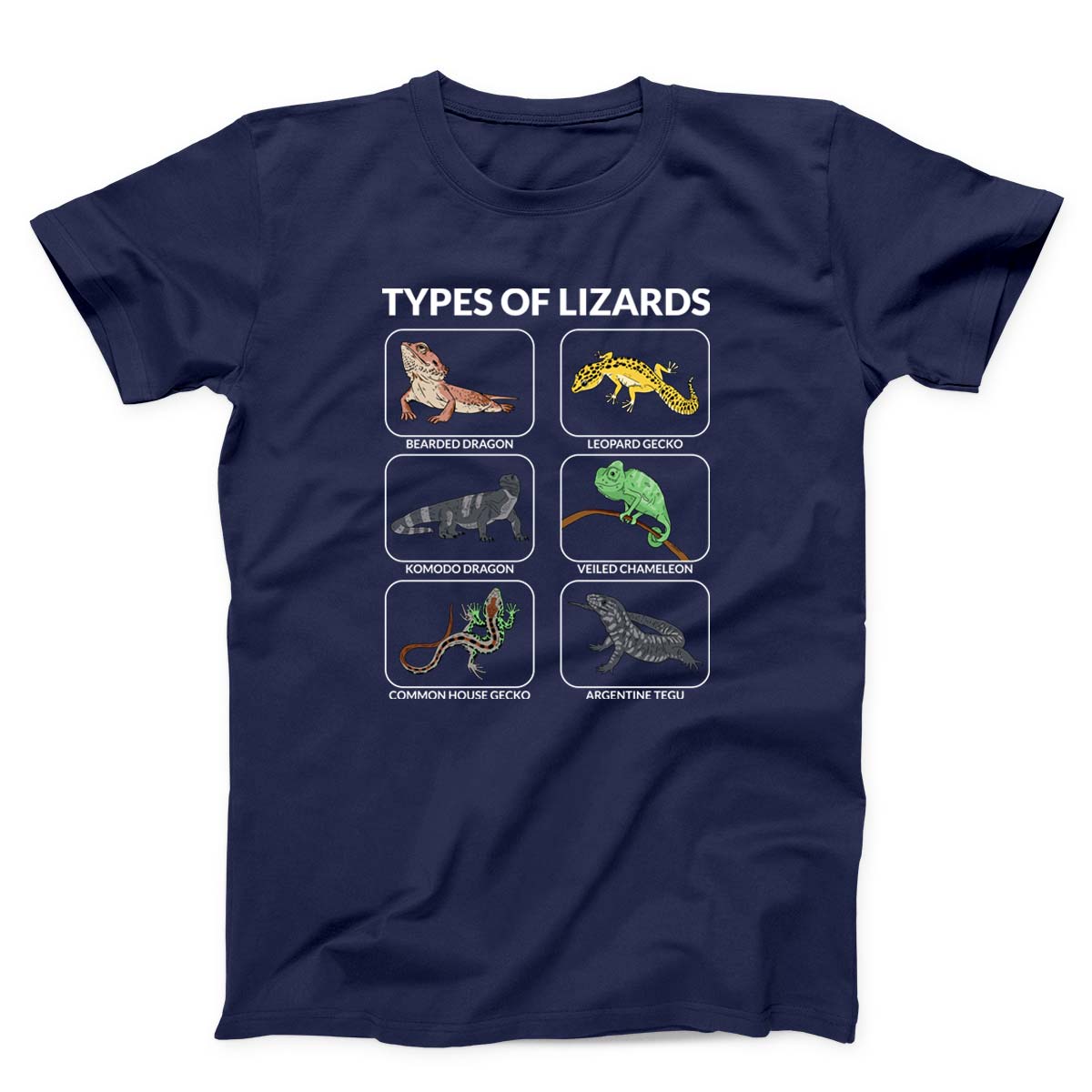 Types Of Lizards Unisex T-Shirt