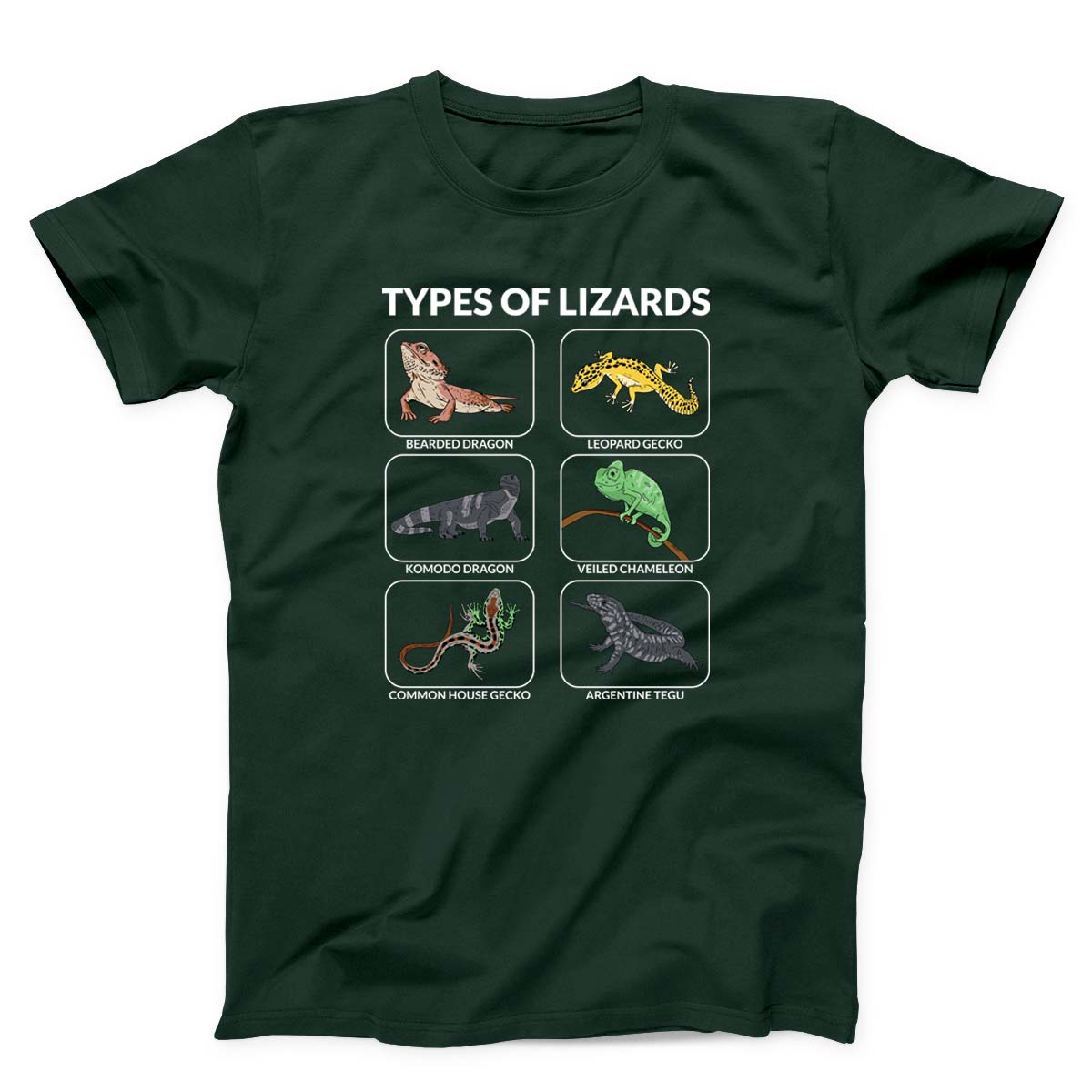 Types Of Lizards Unisex T-Shirt